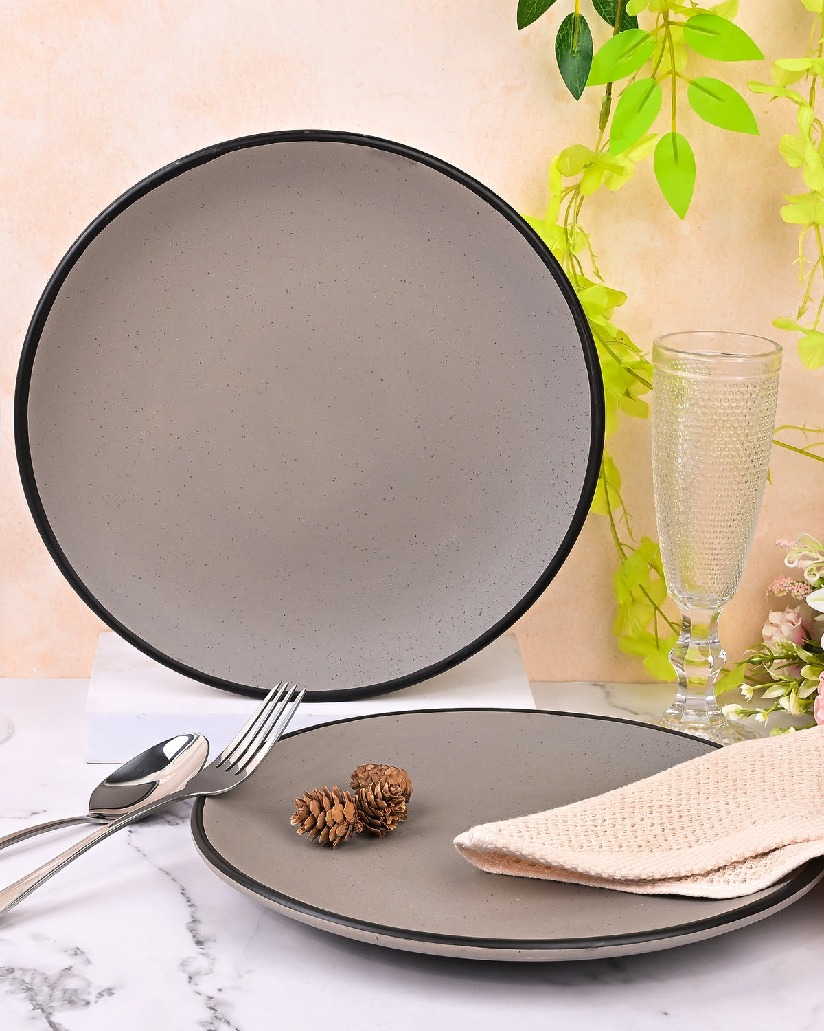 Black-rimmed grey dinner plates set of 2