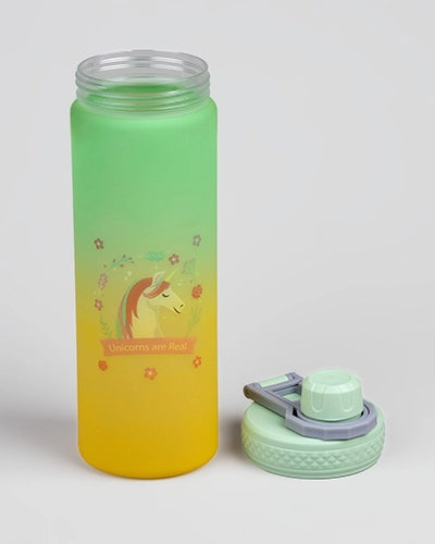 Citrus Splash Water Bottle photographed in natural light