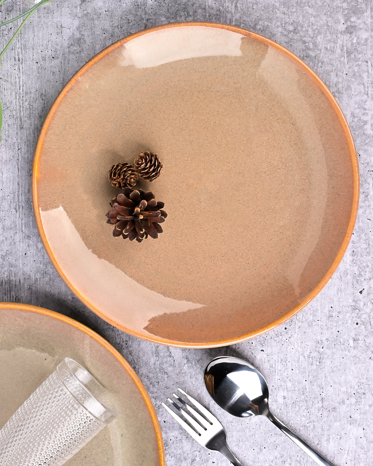 Set of 2 classic ceramic dinner plates
