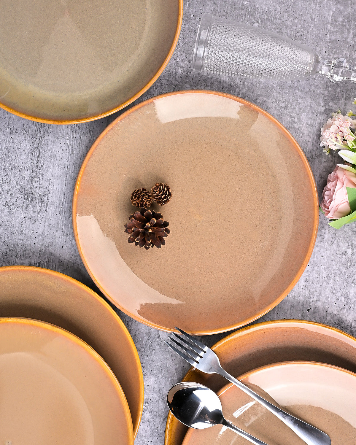 Set of 6 classic ceramic dinner plates