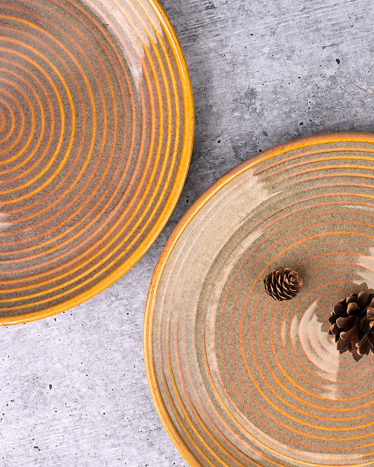 Set of 2 brown spiral design dinner plates