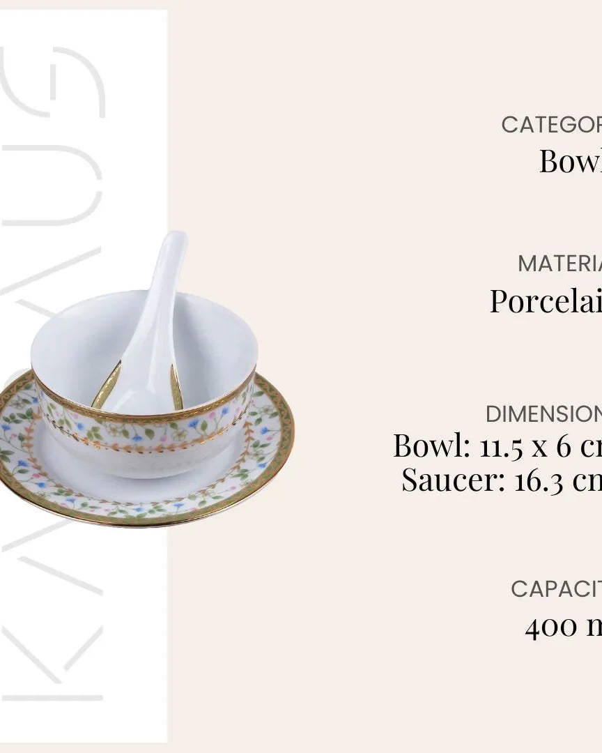 Elegant bowl and spoon set for soups and desserts