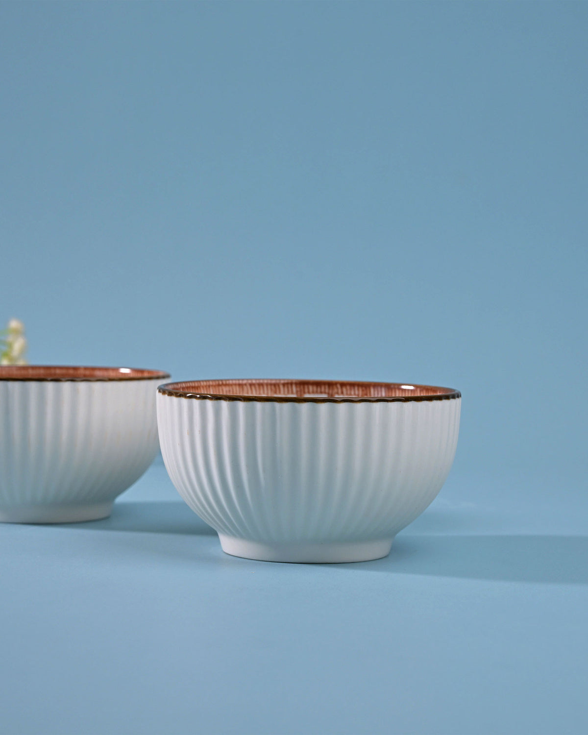 Decorative ribbed porcelain bowls set of 2