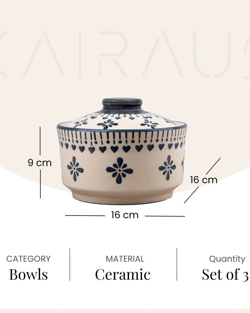 Vintage style ceramic bowls with covers