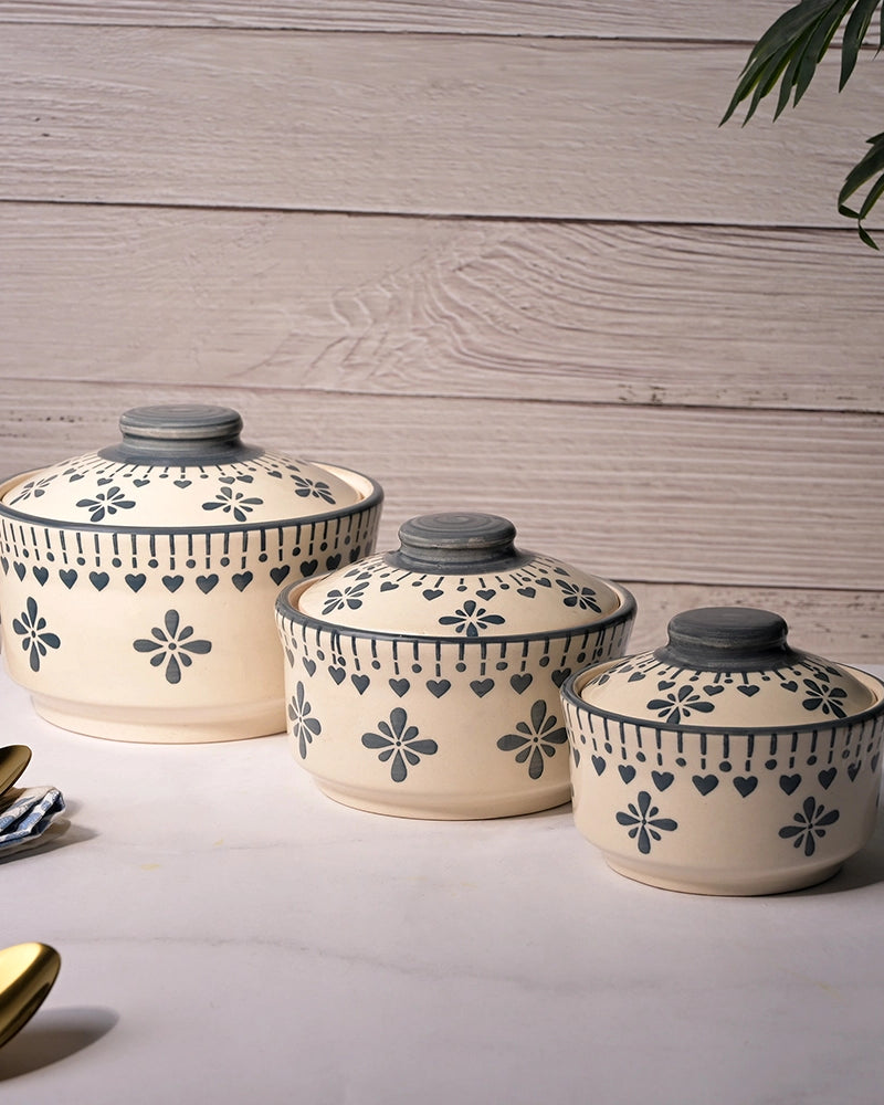 Stylish covered ceramic bowls for serving food
