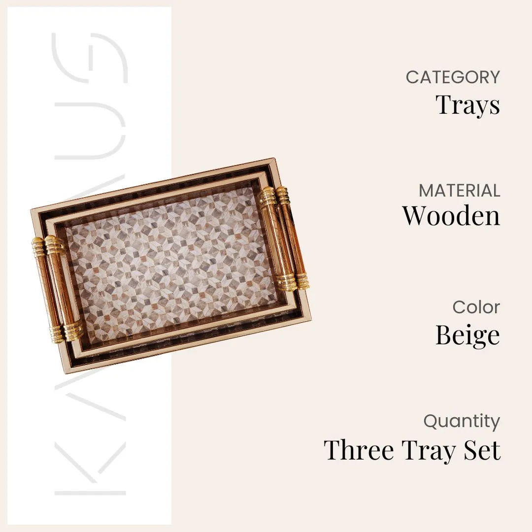 3D Illusion Beige & Gold Leather Tray (Set of 2)
