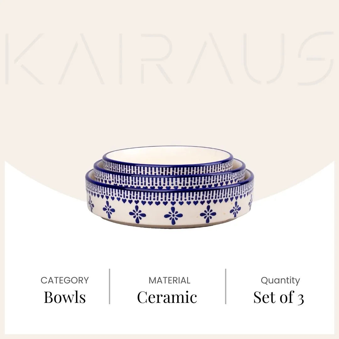 Blue & White Ceramic Bowl (Set of 3)