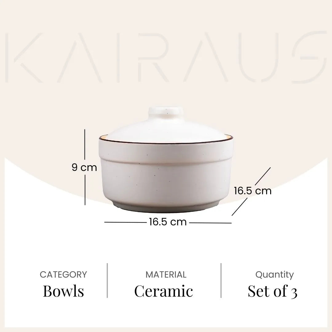 White and Black Ceramic Bowls with Lid