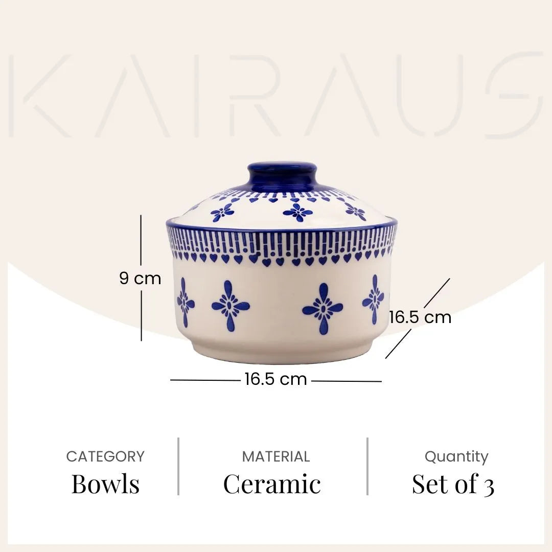 Blue and White Ceramic Bowls with Lid