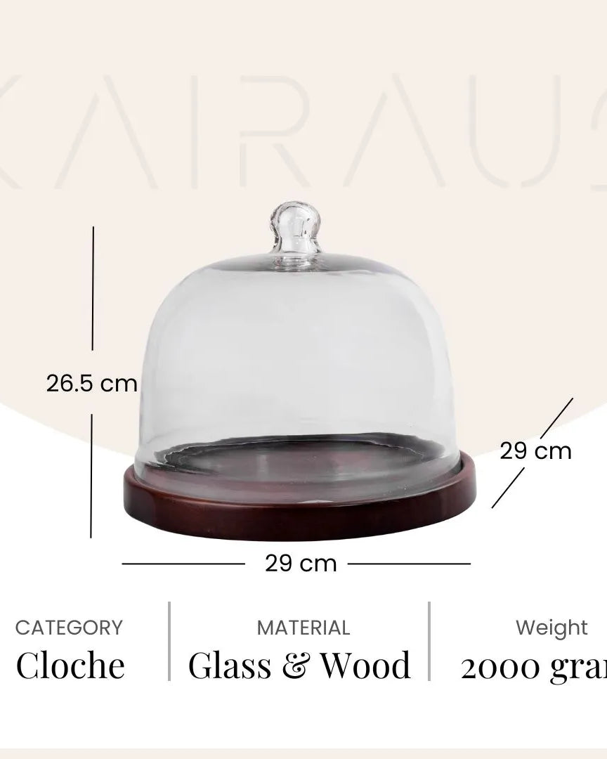 Chic Glass Cloche with Wood Base