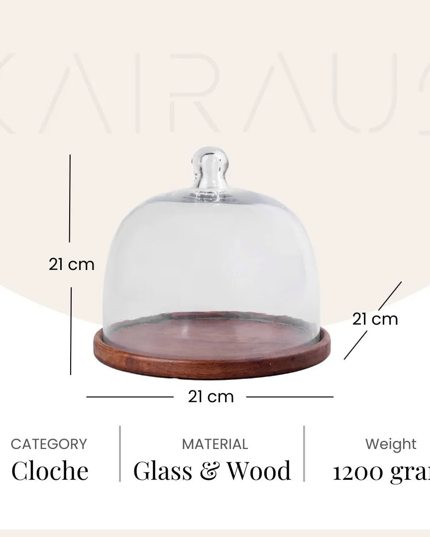 Glass Cloche with Wooden Base