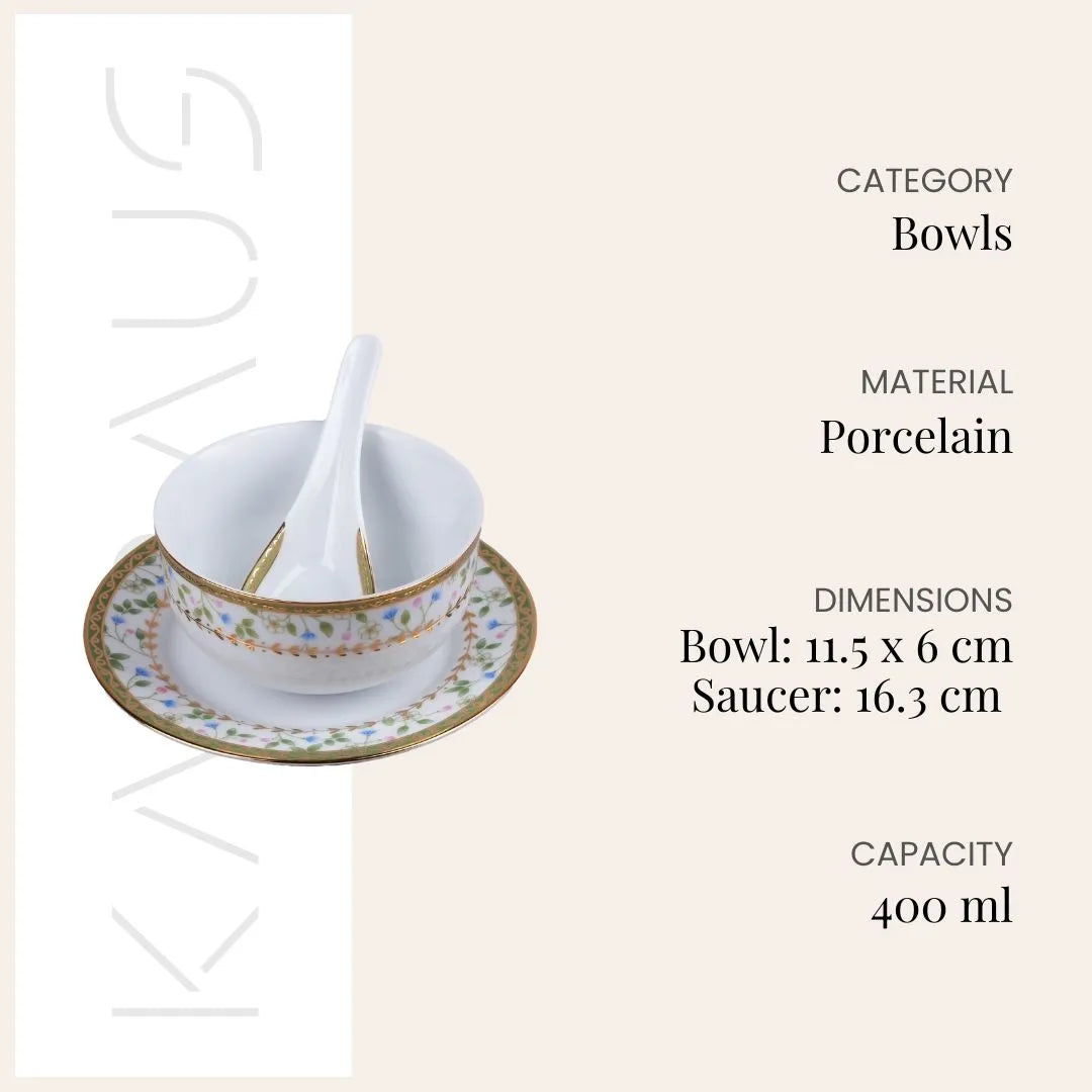 Elegant Porcelain Bowl and Spoon (Set of 4)