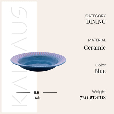 Elegant Aqua Blue Ceramic Snack Plate Set (9.5 inch)