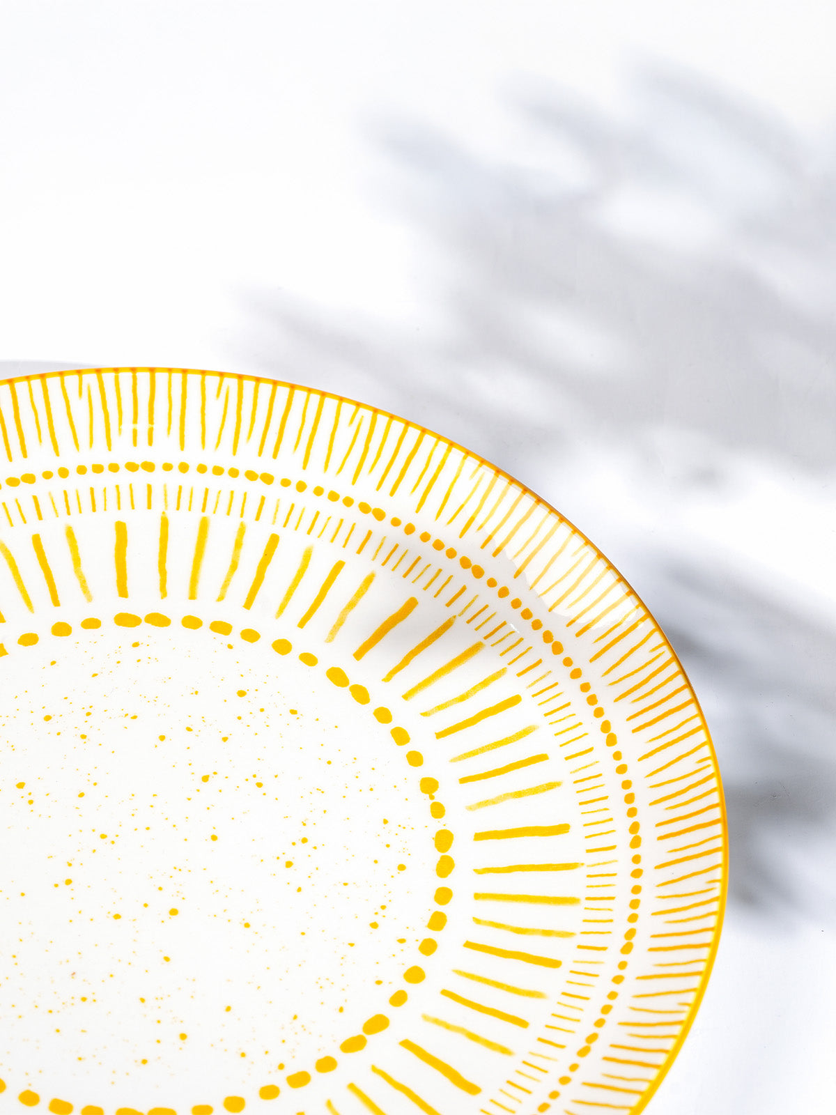 Elegant Amoret dinner plates for modern dining table settings