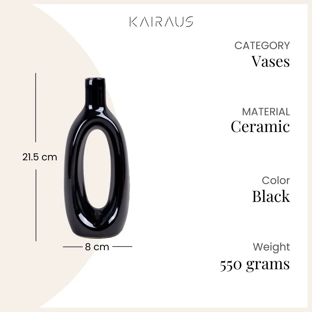 Decorative Black Embrace vase with a sleek contemporary finish

