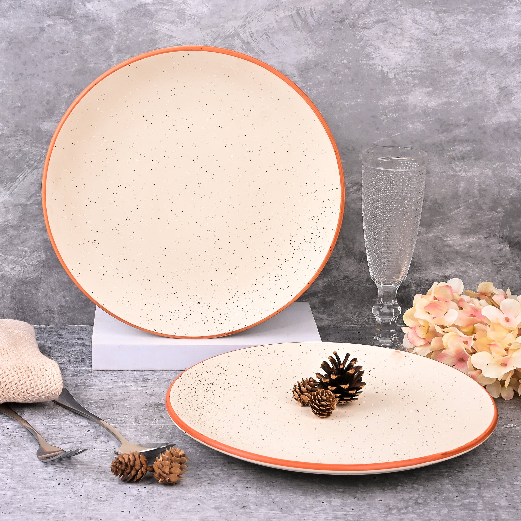 Classic white ceramic dinner plates set of 2
