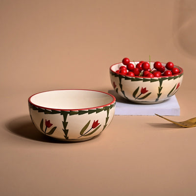 Premium Tropical Print Ceramic Bowl Sets