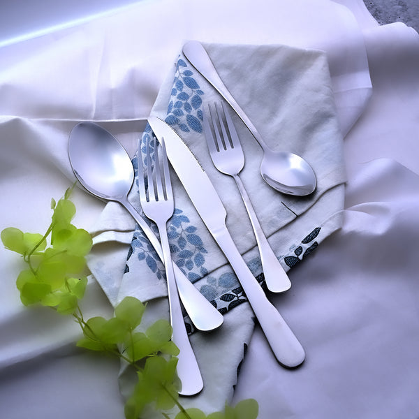 Snazzy Stainless Steel Silverware Set