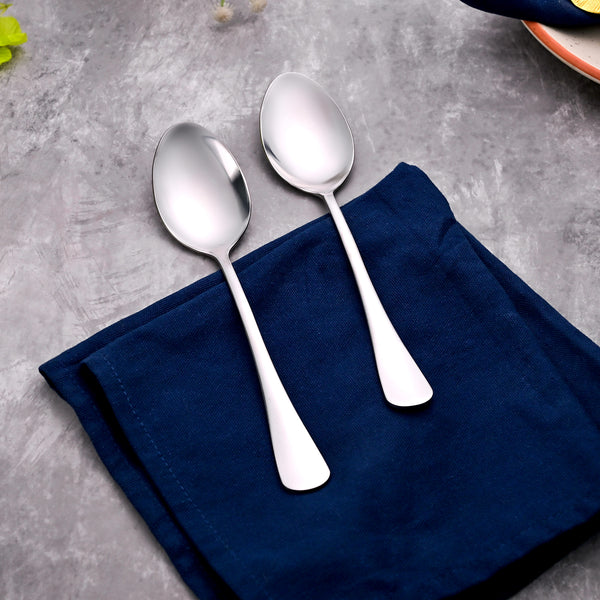 Sleek & Shiny Stainless Steel Spoons (Set of 2)