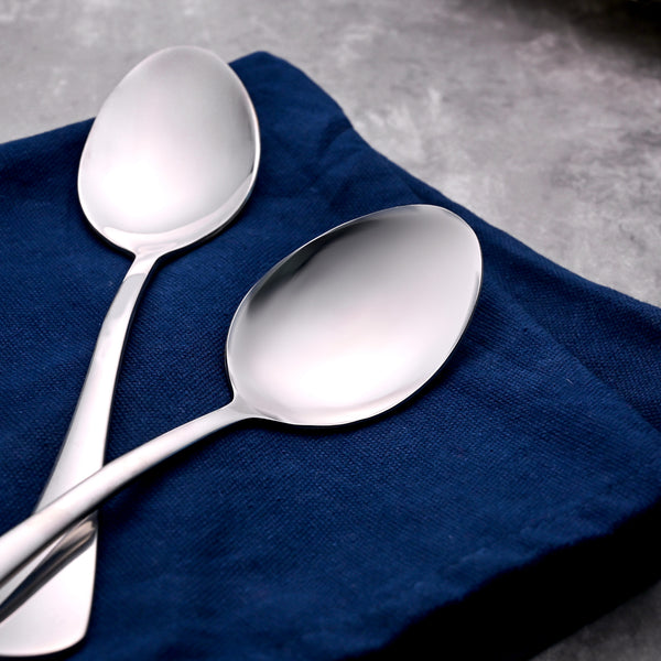 Sleek & Shiny Stainless Steel Spoons (Set of 2)