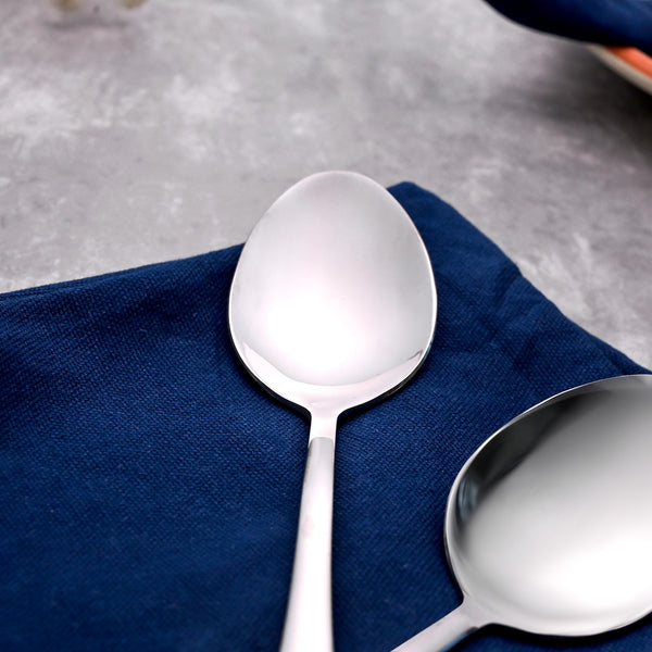 Sleek & Shiny Stainless Steel Spoons (Set of 2)