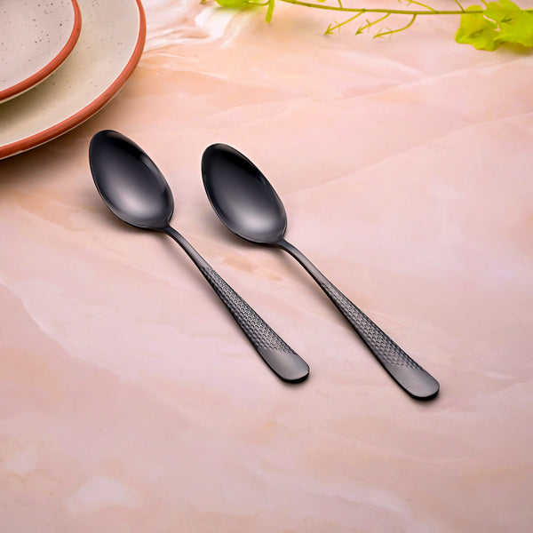 Onyx Black Stainless Steel Spoons (Set of 2)