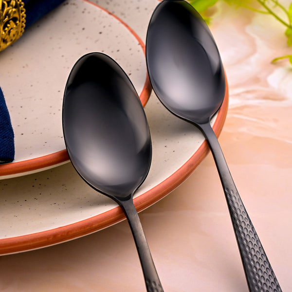 Onyx Black Stainless Steel Spoons (Set of 2)