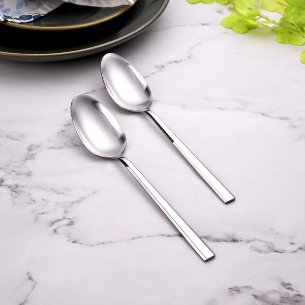 Sleekline Stainless Spoons (Set of 2)