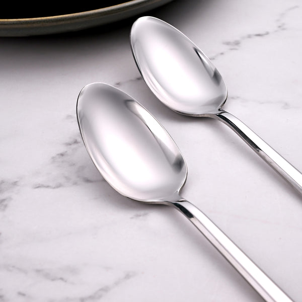 Sleekline Stainless Spoons (Set of 2)