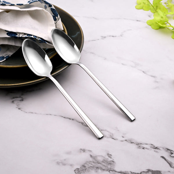 Sleekline Stainless Spoons (Set of 2)