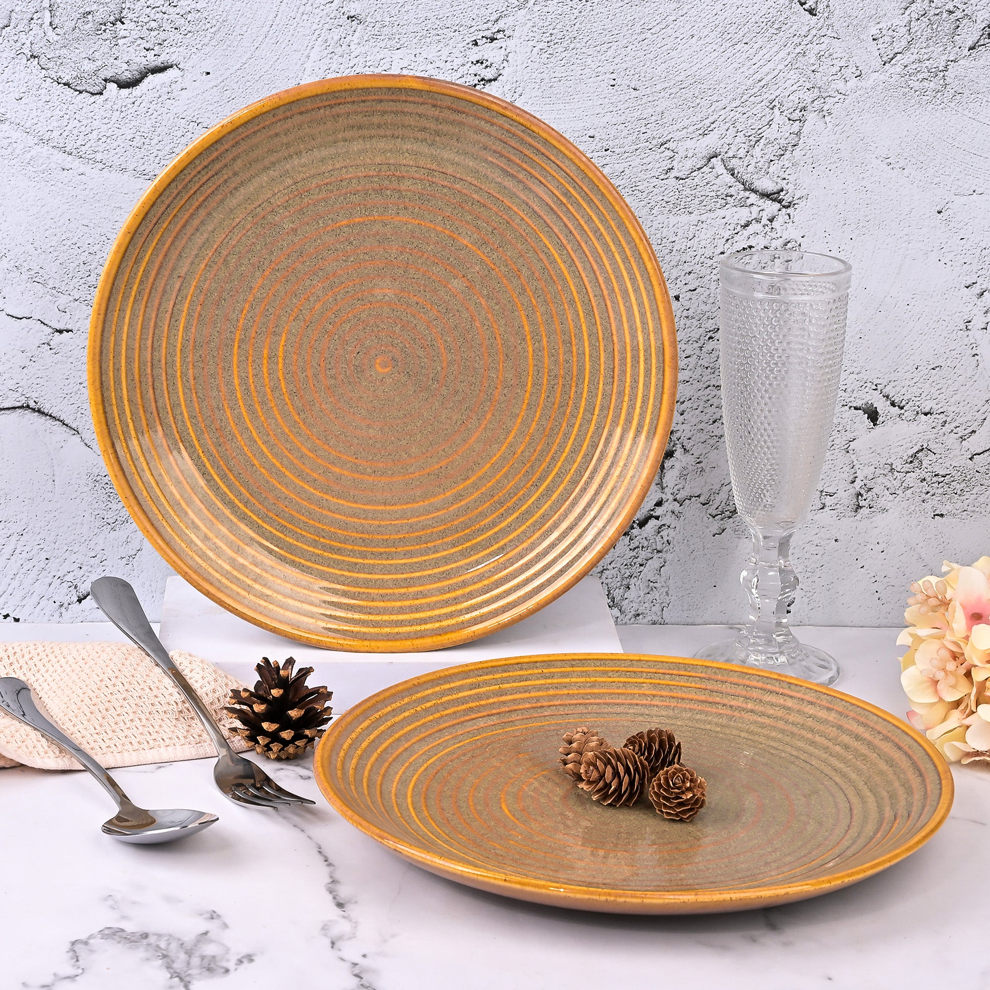 Elegant brown spiral dinner plates set of 2