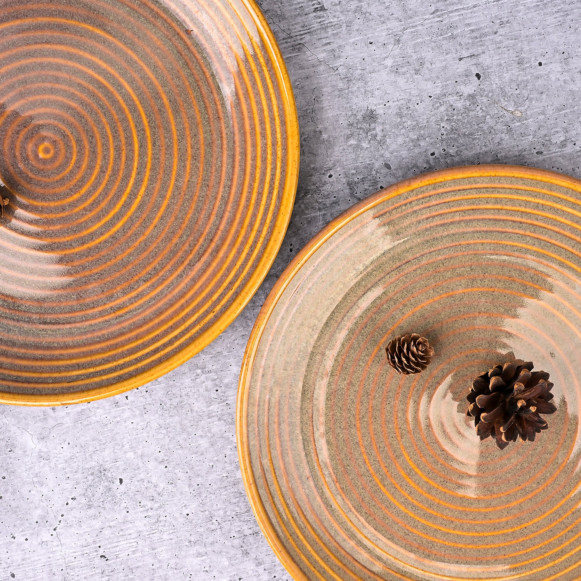 Set of 2 brown spiral design dinner plates

