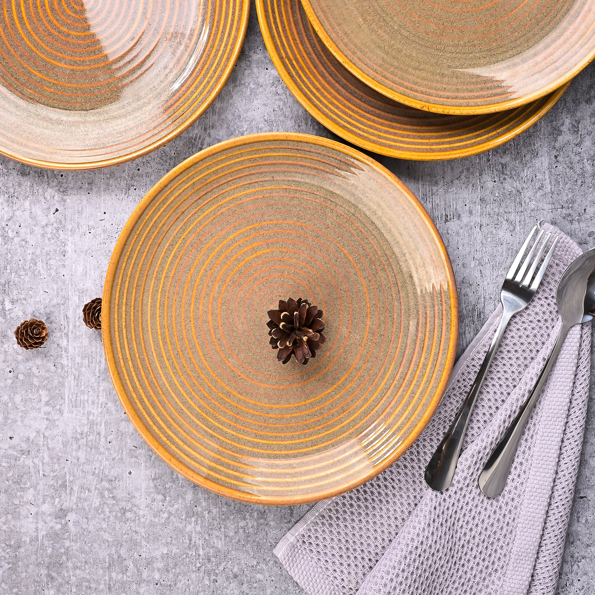Set of 4 brown spiral design dinner plates

