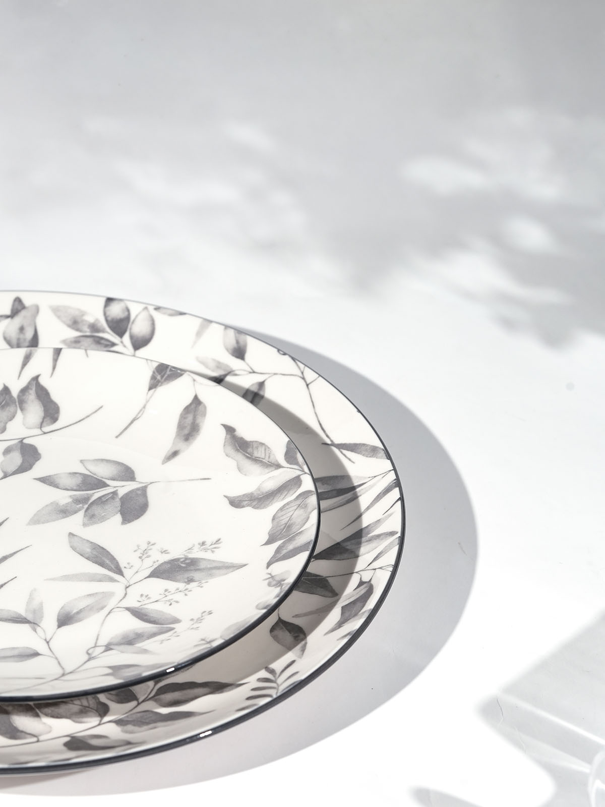Elegant Ivory porcelain dinner and quarter plates

