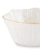 Elegant Moonstone Gold Dinner Set for festive dining and celebrations

