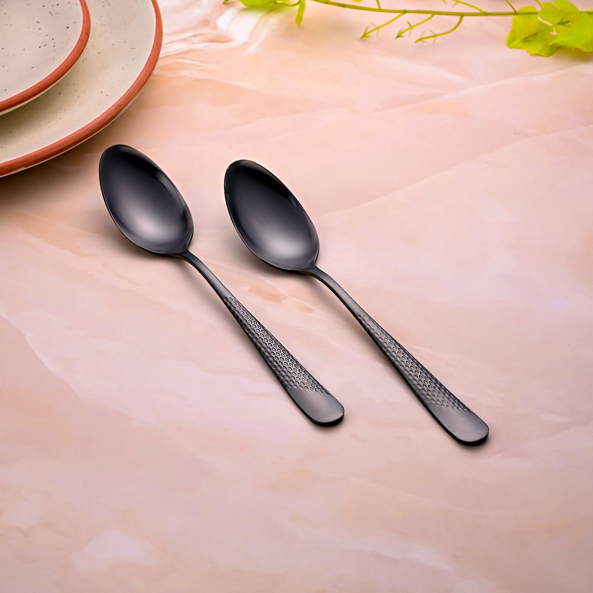 Onyx Black Stainless Steel Spoons Set of 2 with a Sleek Finish


