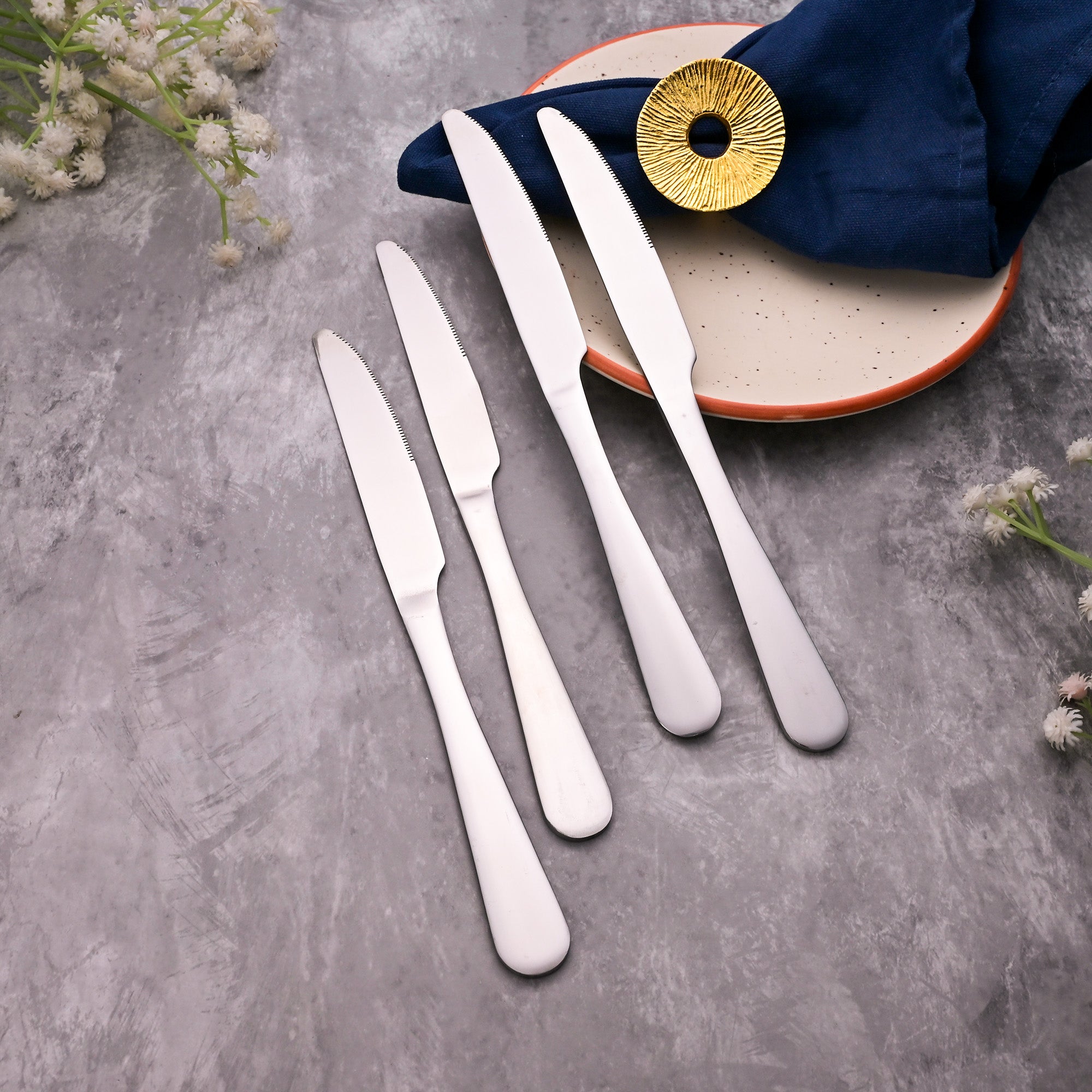 ShinyChic Knives – Set of Four with a Sleek and Polished Finish

