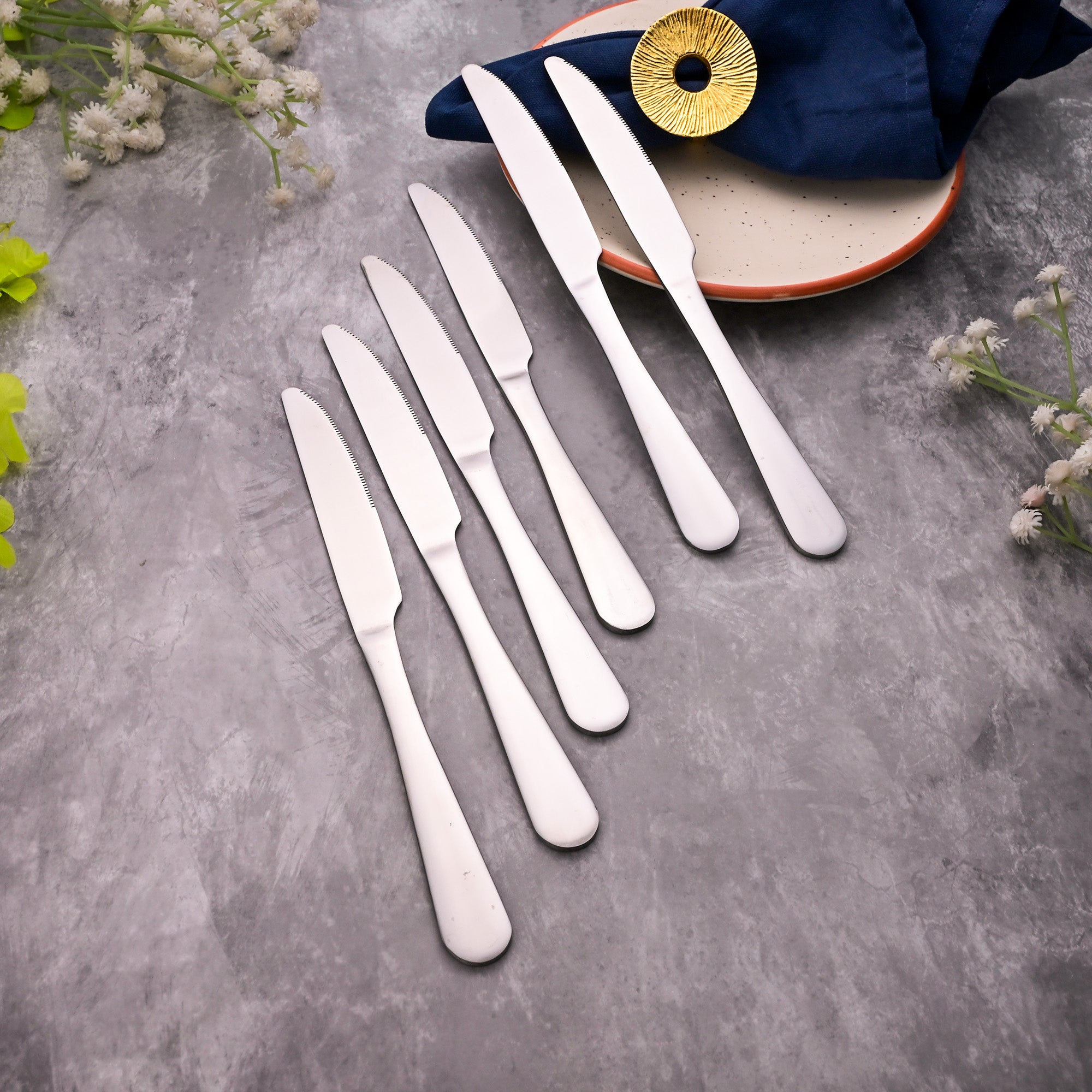 Set of 6 ShinyChic Knives for Everyday Cutting and Dining

