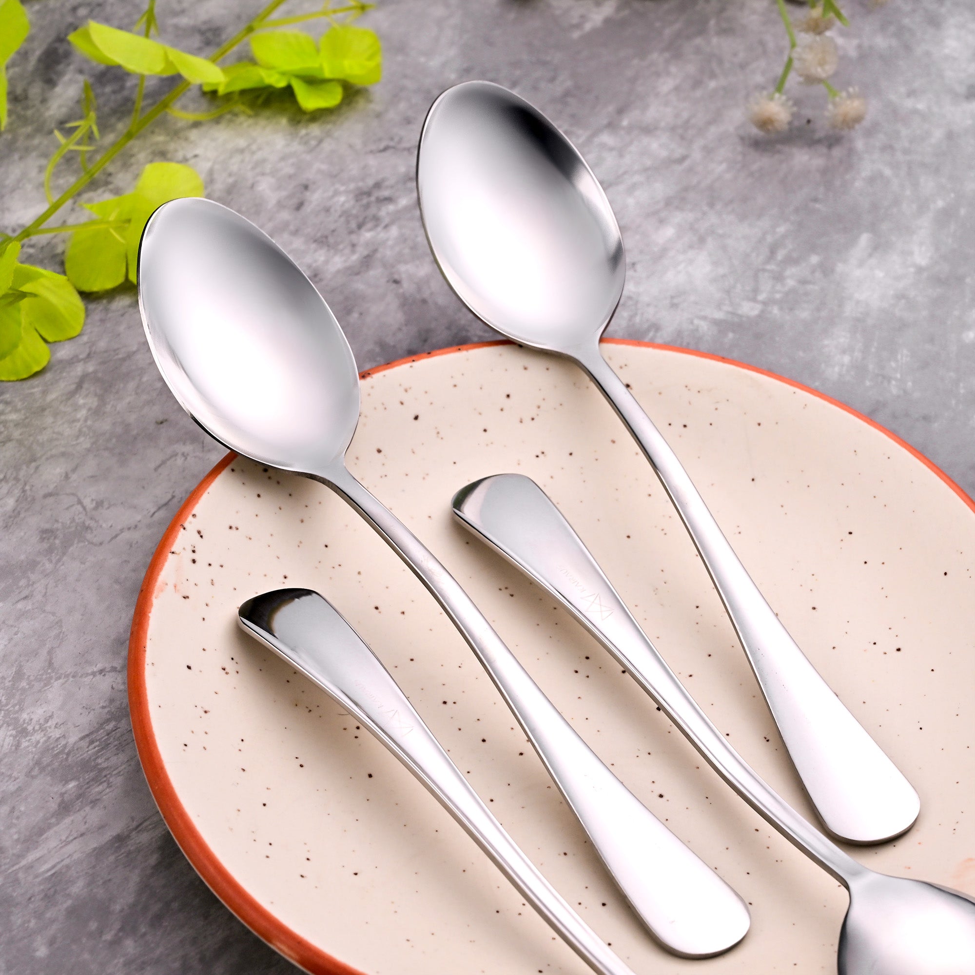 Sleek & Shiny Stainless Steel Spoons – Set of Four with Polished Finish

