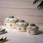Stylish covered ceramic bowls for serving food

