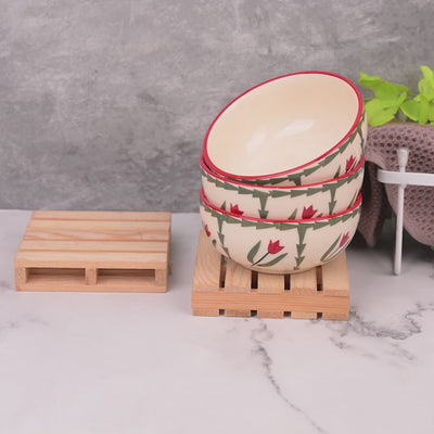 Premium Tropical Print Ceramic Bowl Sets