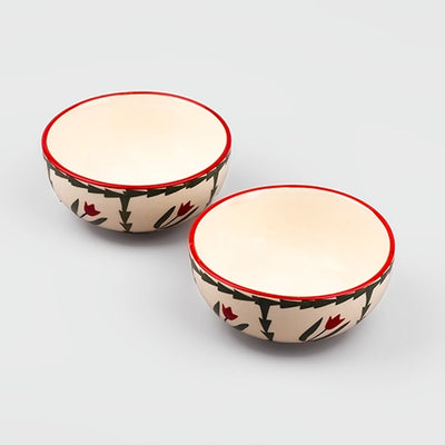 Premium Tropical Print Ceramic Bowl (Set of 2)