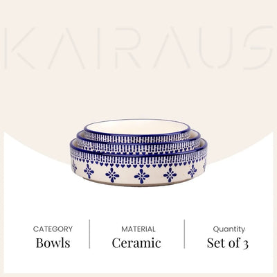 Blue & White Ceramic Bowl (Set of 3)