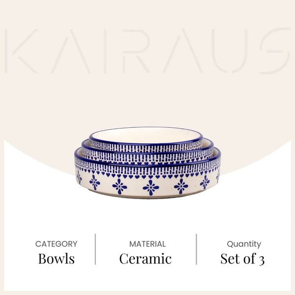 Blue & White Ceramic Bowl (Set of 3)