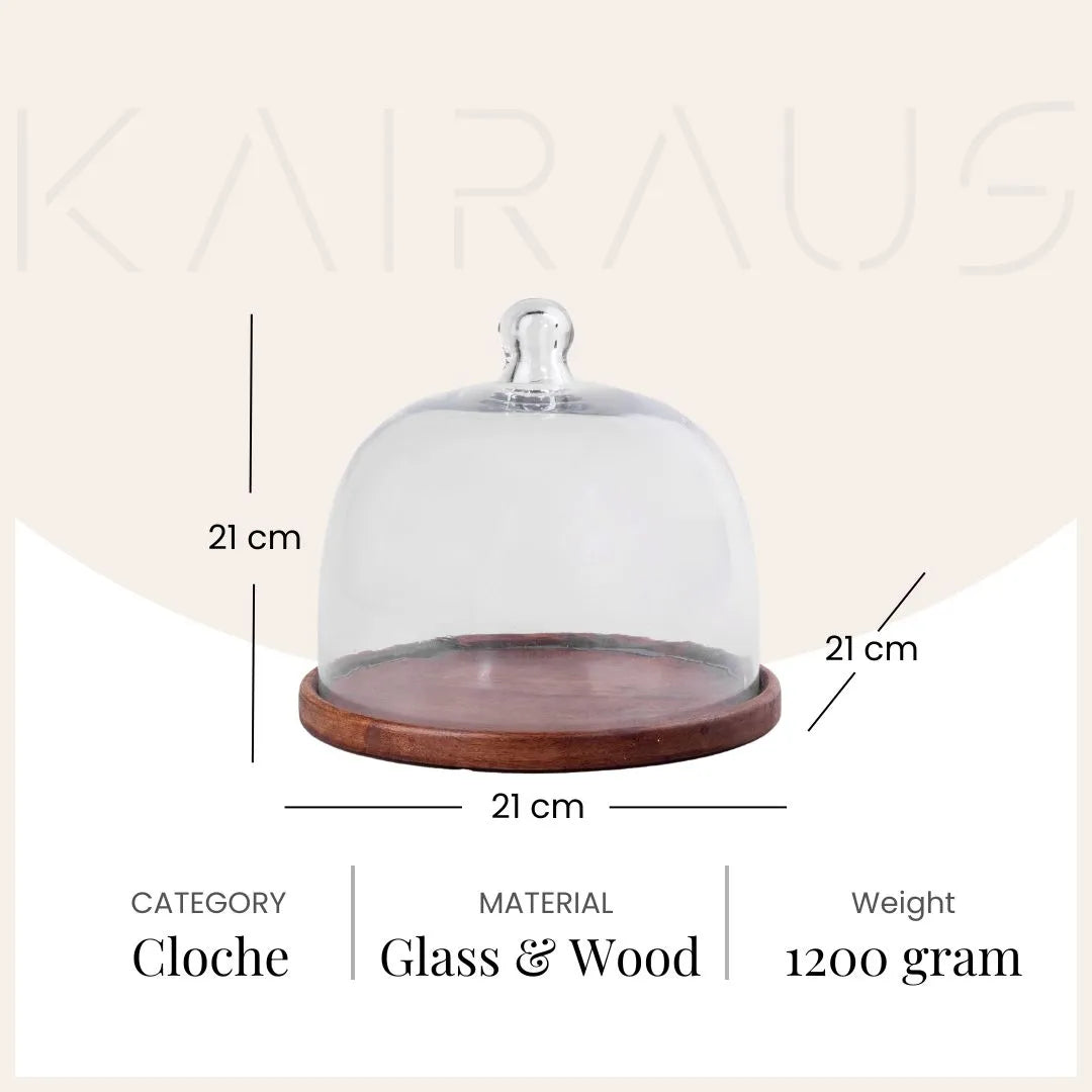 Glass Cloche with Wooden Base