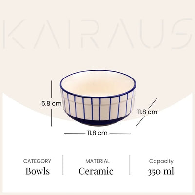 Exquisite Blue and White Ceramic Bowl (Set of 2)