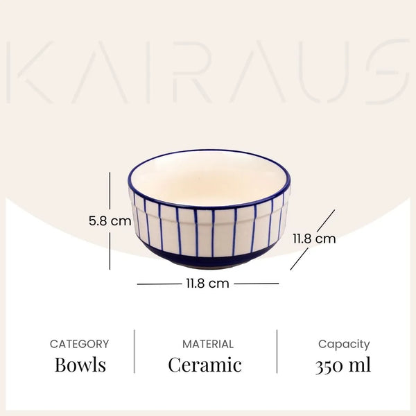 Exquisite Blue and White Ceramic Bowl (Set of 2)